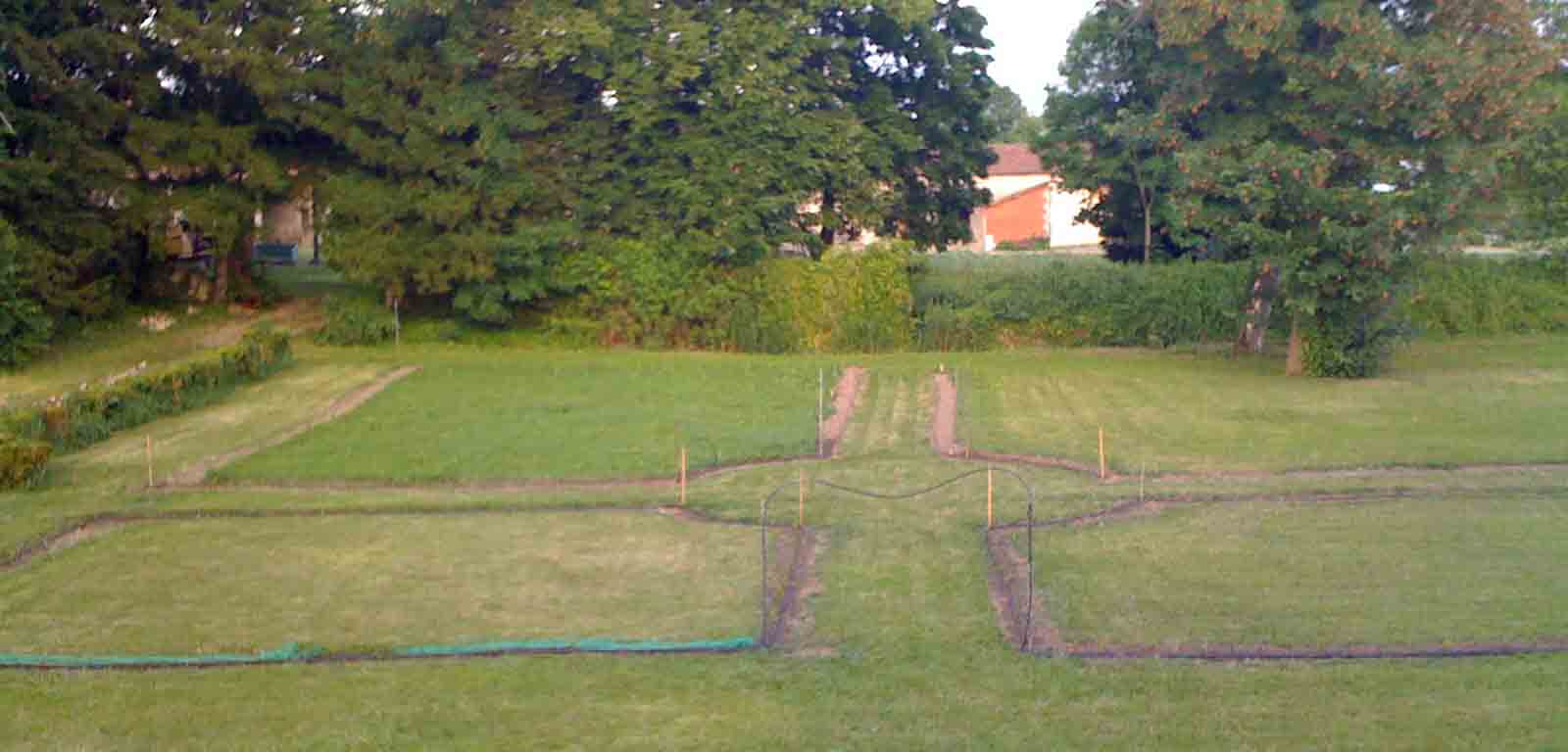 Le potager de buis en 2009