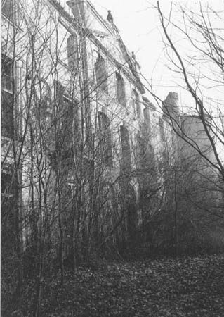 La nature a vite repris ces droits : en 1992, un bois taillis s'est installé dans la grande cour d'honneur