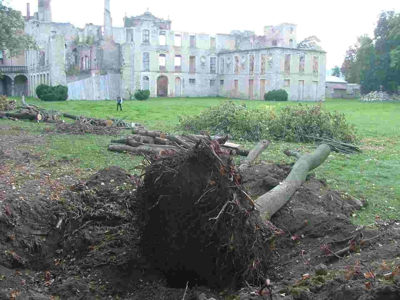 La perspective du parc