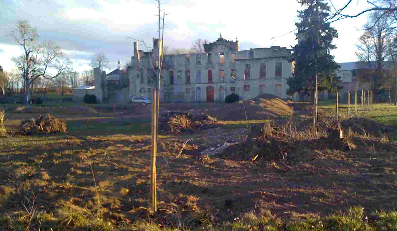 Perspective du parc : les tilleuls