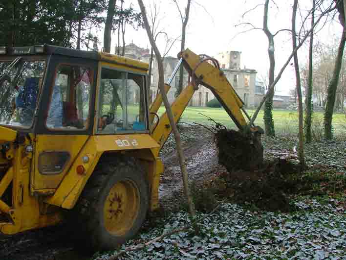 Dessouchage pour replantation
